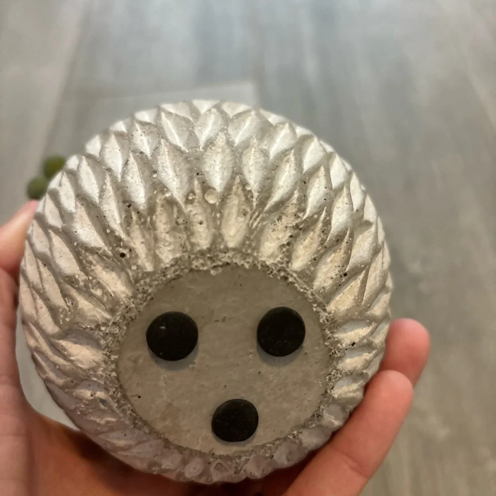 Decorative Gray Planter with Green Succulents